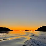 Aurora Tromvik *