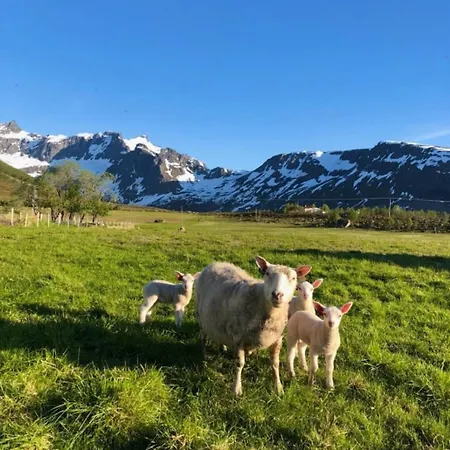 Aurora Tromvik トロムソ