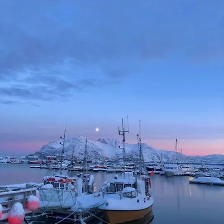 Aurora Tromvik トロムソ