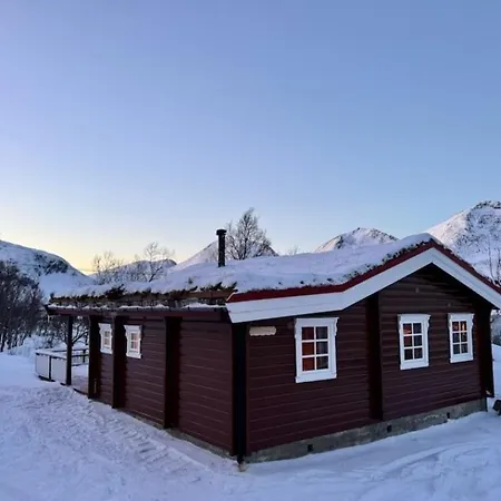 Aurora Tromvik *