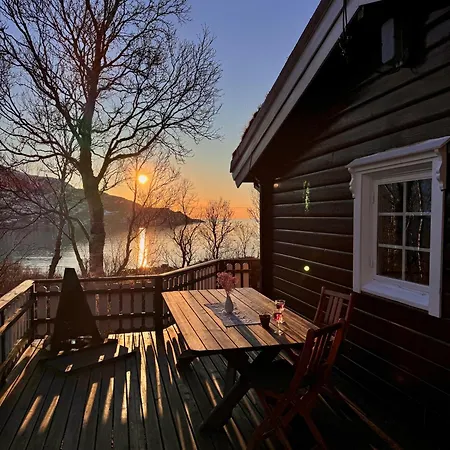 Aurora Tromvik トロムソ