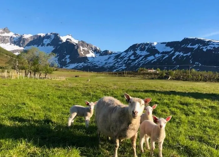 Aurora Tromvik Tromsø