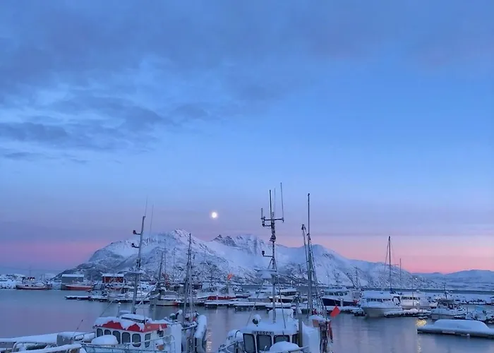 Aurora Tromvik Tromsø