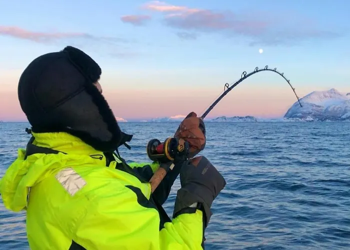 Aurora Tromvik Tatil Evi *