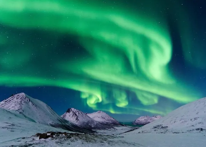 Aurora Tromvik Tatil Evi Tromsø
