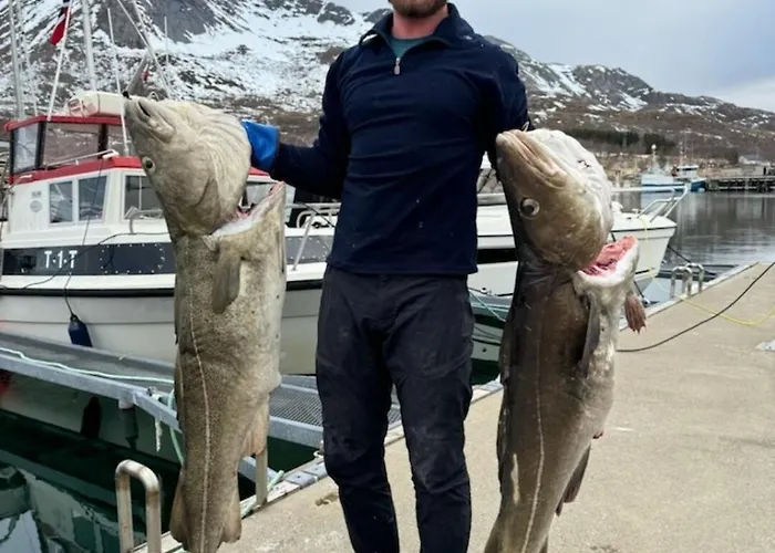 Aurora Tromvik * Tromsø