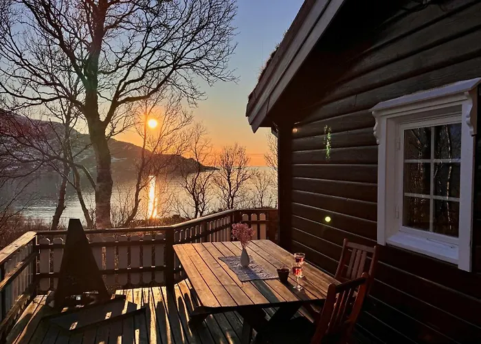 Aurora Tromvik Tromsø