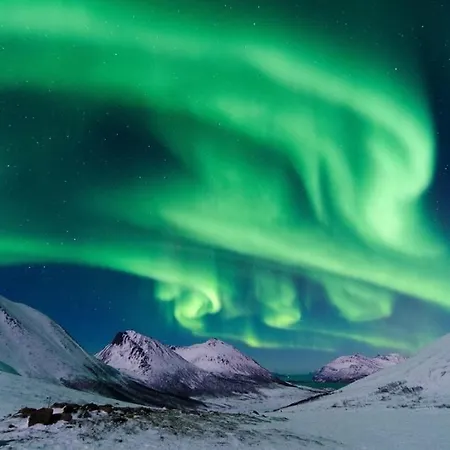 Aurora Tromvik بيت للعطل ترومسو