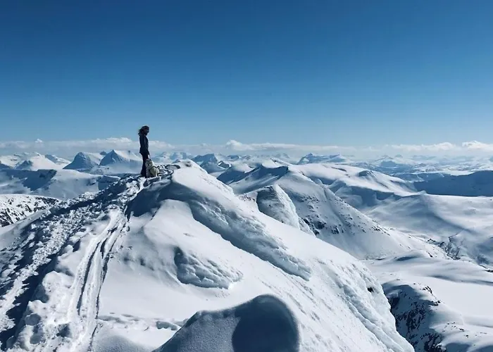 Aurora Tromvik *